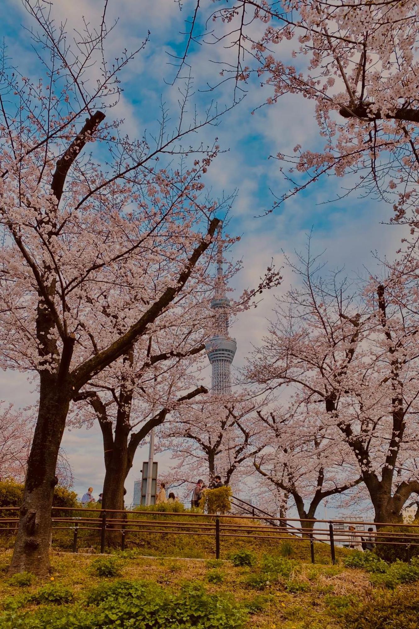 Toe Library Tokyo Asakusa Esterno foto